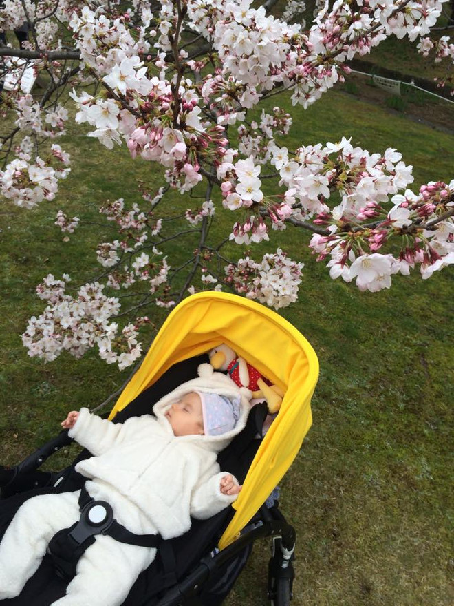 Chu du Tokyo-Núi Phú Sĩ-Nikko-Fukushim 5 ngày chỉ 28,99 triệu đồng ảnh 2