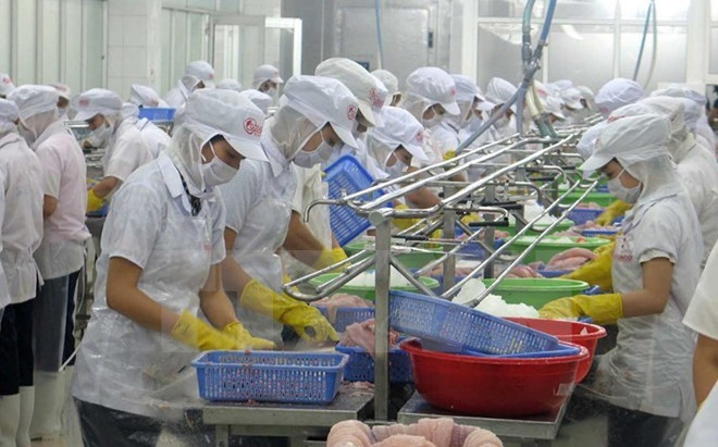Chế biến thủy sản xuất khẩu tại Khu Công nghiệp Mỹ Tho. (Ảnh: Minh Trí/TTXVN) Ngân hàng Thế giới chỉ ra những thách thức đối với kinh tế Việt Nam ảnh 1