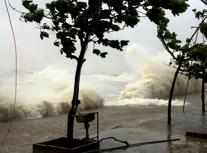 Nhiều nhà dân ở Nghệ An bị tốc mái, lúa và hoa màu bị ngã đổ ảnh 1