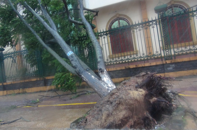 Quảng Bình: 7 người thương vong, hơn 49.000 căn nhà bị tốc mái ảnh 1