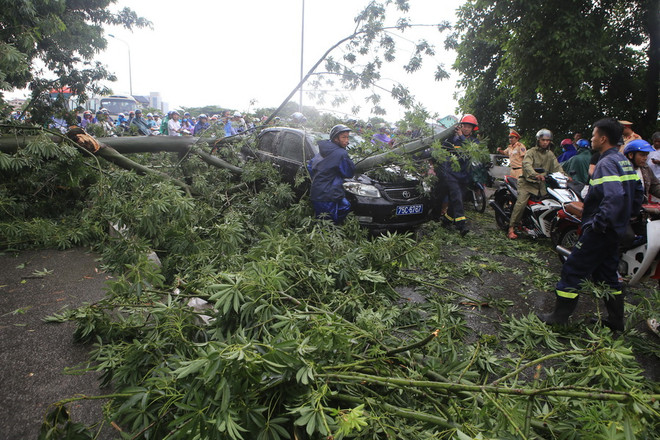 Lốc xoáy cục bộ gây nhiều thiệt hại tại tỉnh Thừa Thiên-Huế ảnh 1