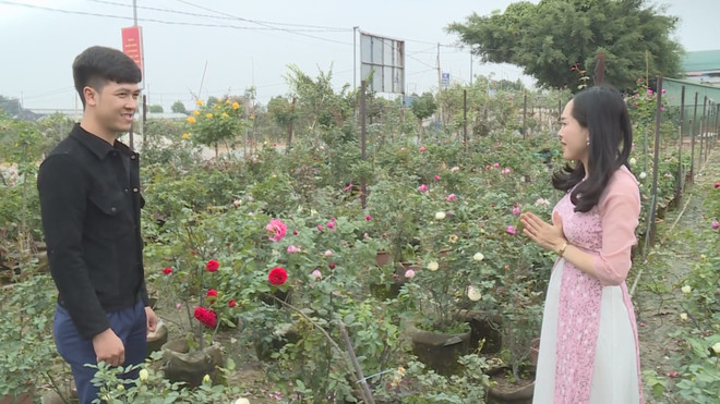 Vườn hoa của gia đình anh Nguyễn Văn Hoàng (thôn Hạ Lôi, xã Mê Linh, huyện Mê Linh, Hà Nội) "hồi sinh" đua sắc chào đón Tết Tân Sửu 2021. (Ảnh: Minh Nghĩa/TTXVN) Hoa Mê Linh "vượt bão" đua sắc trong những ngày giáp Tết ảnh 2
