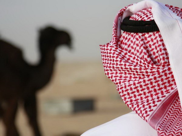 MERS được cho là khởi phát từ Saudia Arabia và nguồn mang virus là lạc đà. (Nguồn: Thinkstock) WHO cảnh báo về mức độ nguy hiểm của dịch bệnh MERS ảnh 1