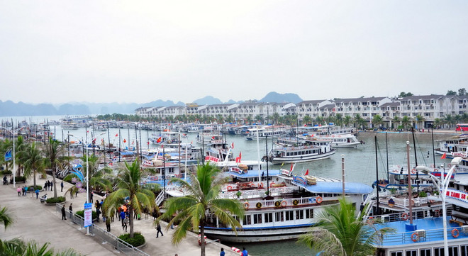 Tỉnh Quảng Ninh có ý kiến về việc thu phí qua Cảng Tuần Châu ảnh 1