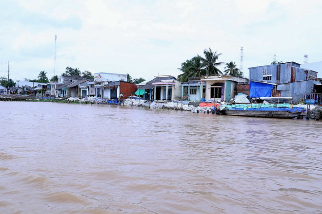 Triều cường ở Cần Thơ đang lên nhanh, vượt qua mức lịch sử ảnh 1