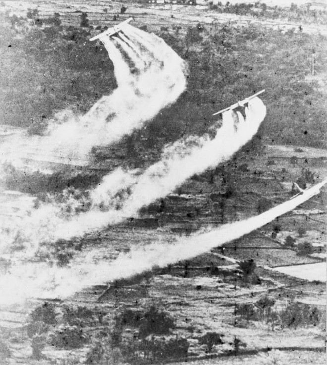 60 năm thảm họa da cam ở Việt Nam: Chung tay xoa dịu nỗi đau ảnh 2