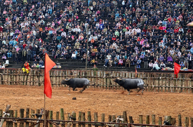 Giảm đốt vàng mã, chấn chỉnh các biểu hiện lệch lạc trong lễ hội ảnh 2