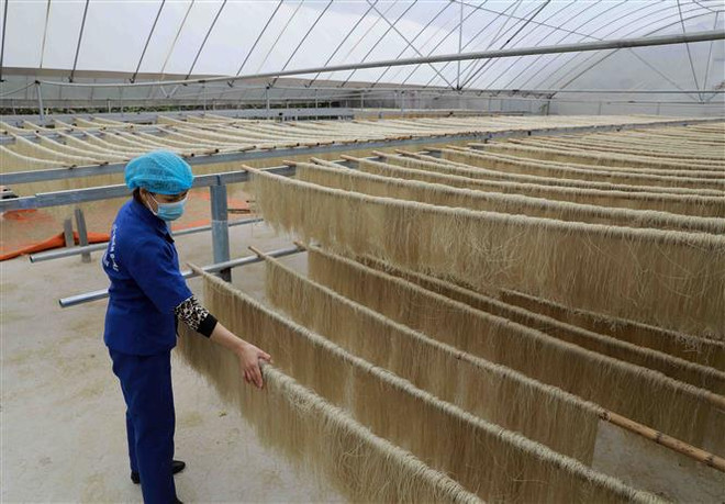 Cả nước có 3.200 sản phẩm OCOP, nhiều chủ thể là hợp tác xã ảnh 1