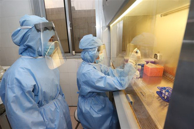 Tách mẫu sinh phẩm để xác định virus SARS-CoV-2. (Ảnh: Dương Giang/TTXVN) Hai bệnh nhân số 36 và 52 đã âm tính với virus SARS-CoV-2 ảnh 1