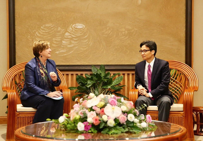 Phó Thủ tướng Vũ Đức Đam tiếp Trưởng đại diện UNICEF tại Việt Nam ảnh 1