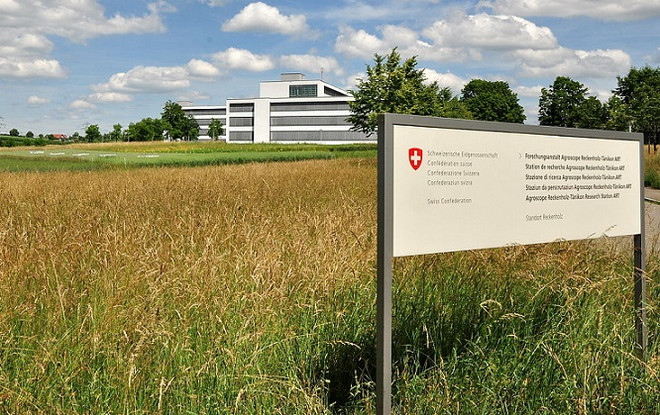 Câu chuyện dài kỳ về lệnh cấm thực phẩm biến đổi gene của Thụy Sĩ ảnh 1