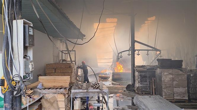 Bình Dương: Hỏa hoạn tại công ty gỗ, một phần nhà xưởng bị thiêu rụi ảnh 1