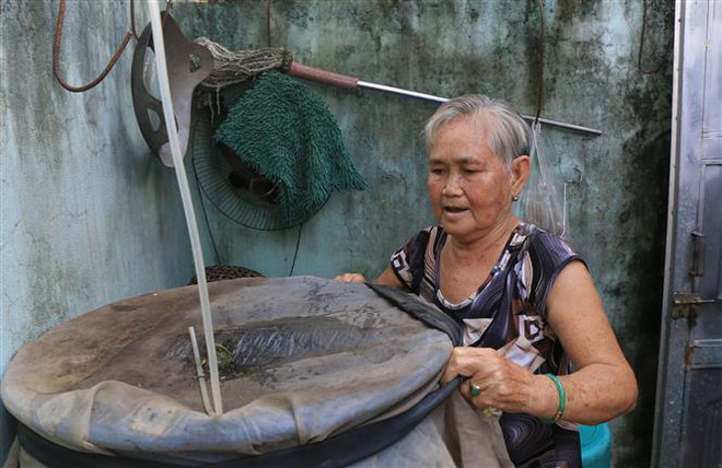 Số ca sốt xuất huyết ở phía Nam tăng gần gấp đôi so với cùng kỳ 2021 ảnh 1