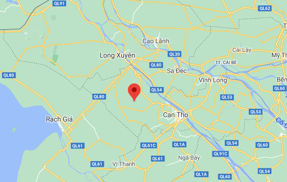 Cần Thơ: Đi cắm câu, một người đàn ông bị cây đè tử vong ảnh 1