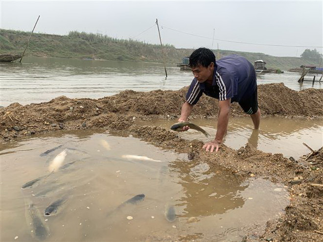 Vụ cá chết bất thường: Phát hiện 2 cơ sở xả thải trực tiếp ra sông Mã ảnh 1