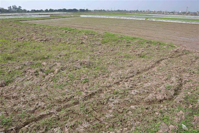 Chủ động kiểm kê đất đai, lập bản đồ hiện trạng sử dụng đất ảnh 1