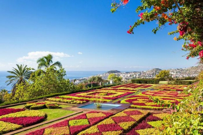 Đà Lạt lọt top 5 điểm đến ngắm hoa được yêu thích nhất thế giới ảnh 2