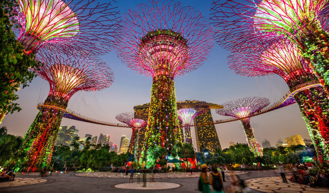 Đà Lạt lọt top 5 điểm đến ngắm hoa được yêu thích nhất thế giới ảnh 4