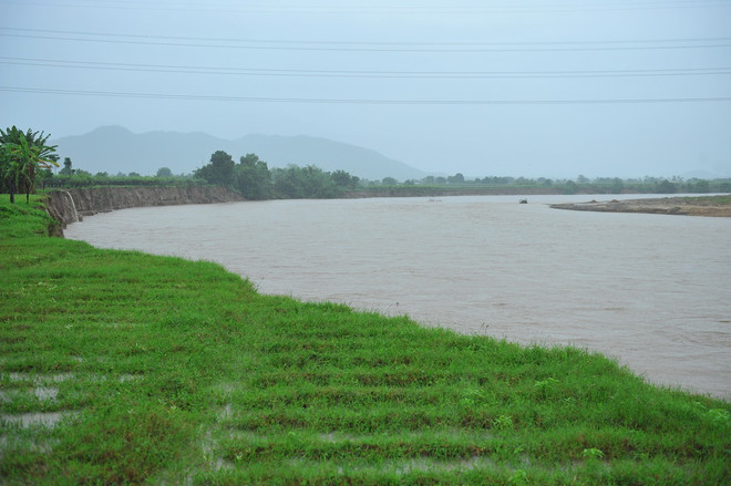Rủ nhau tắm sông Dinh, một học sinh lớp 2 ở Ninh Thuận đuối nước ảnh 1
