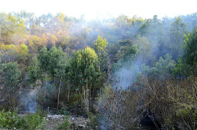 Cơ bản khống chế vụ cháy rừng tại núi Hầm Vàng ở Đà Nẵng ảnh 1