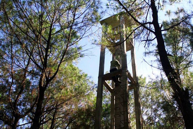 Nghệ An: Khởi tố hình sự và xử lý hành chính 8 vụ cháy rừng ảnh 1