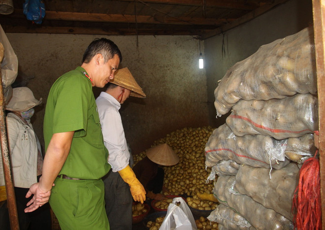 Đình chỉ cơ sở biến rau củ Trung Quốc thành nông sản Đà Lạt ảnh 1