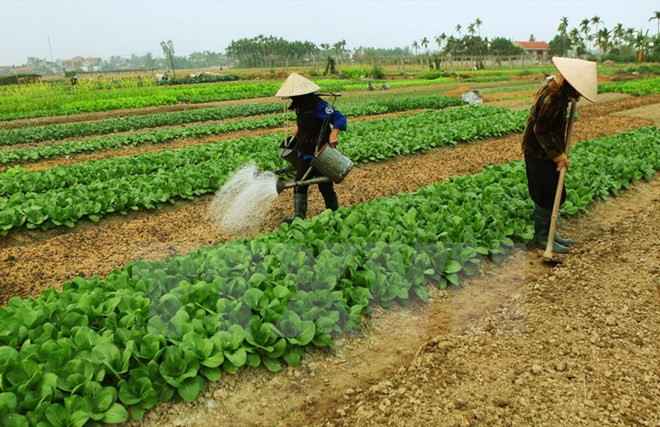 Thủ tướng Chính phủ phân bổ chỉ tiêu sử dụng đất cấp quốc gia ảnh 1