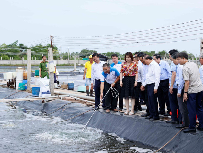 'Khơi dậy tinh thần Đồng khởi, khát vọng vươn lên của người Bến Tre' ảnh 2