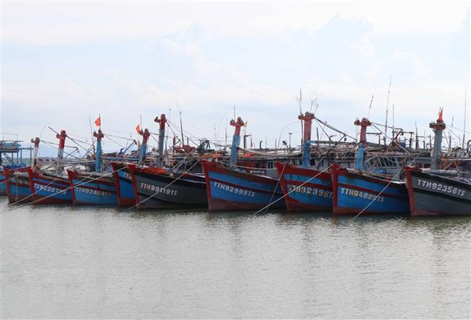 Giao quyền sử dụng khu vực biển: Phát triển kinh tế biển bền vững ảnh 2