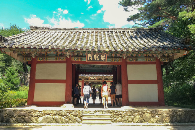 Khám phá xứ sở hoa mộc lan Magnolia bí ẩn vào mùa Thu lá đỏ ảnh 1