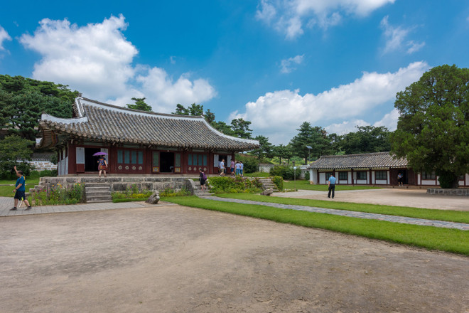 Khám phá xứ sở hoa mộc lan Magnolia bí ẩn vào mùa Thu lá đỏ ảnh 2