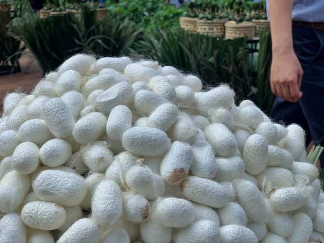 NTK Minh Hạnh: Muốn chạm tới giá trị của 'di sản' áo dài cần đủ lực ảnh 2