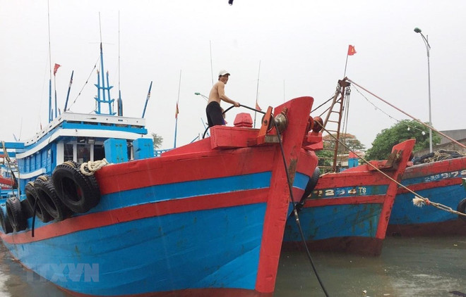 Người dân chằng buộc, neo tàu chắc chắn vào bờ. (Ảnh: Nguyễn Oanh/TTXVN) Tình trạng ngập lụt ở miền Trung còn kéo dài trong những ngày tới ảnh 2