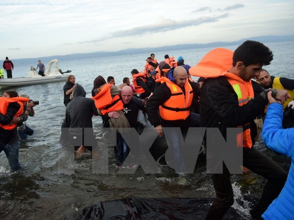 EU duy trì thị trường mở và nỗ lực giải quyết vấn đề người di cư ảnh 1