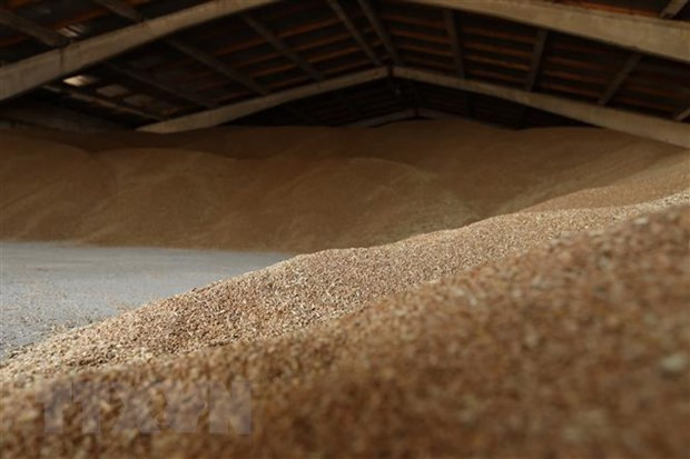 Kim ngạch xuất khẩu hàng hóa của Ukraine giảm mạnh trong năm 2022 ảnh 1