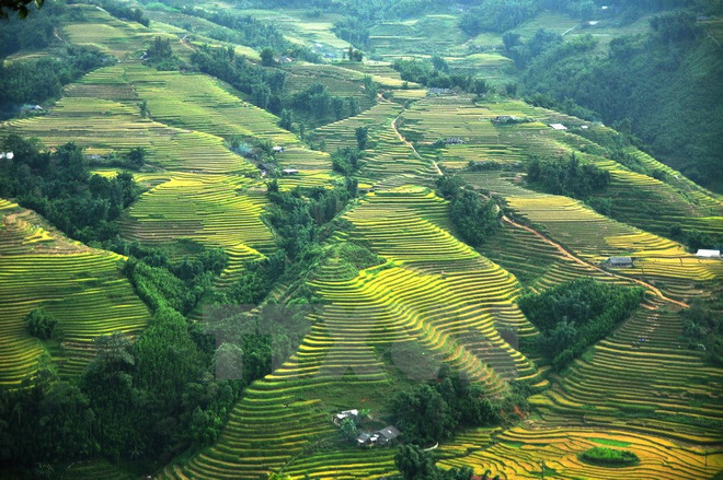 Các tỉnh miền Bắc oi nóng, Tây Nguyên và Nam Bộ mưa dông ảnh 1