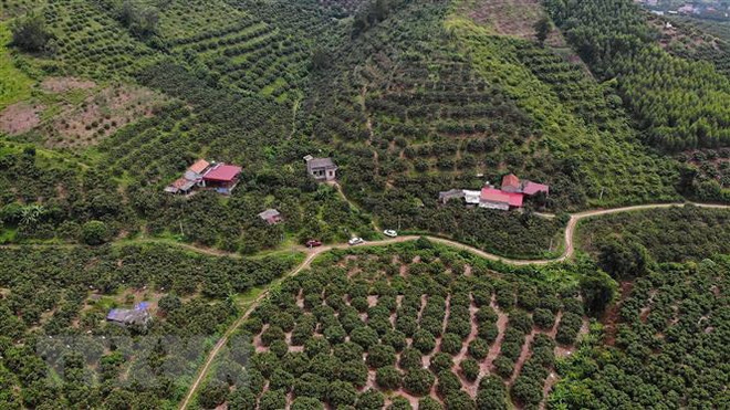 Kiện toàn Ban Chỉ đạo Đổi mới, Phát triển Kinh tế Tập thể, Hợp tác xã ảnh 1