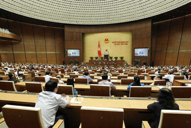 Các đại biểu Quốc hội thảo luận về dự án Luật Chăn nuôi ảnh 2