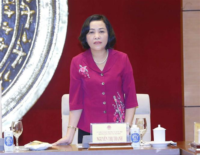 'Khối lượng công việc của Ban Công tác đại biểu là rất lớn' ảnh 2