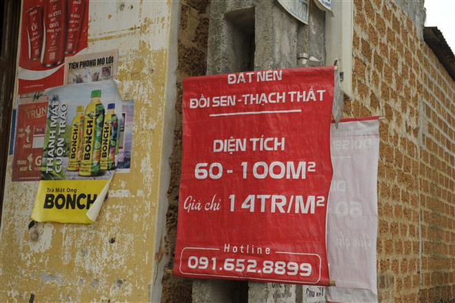Biển bán đất được treo ở nhiều nơi tại huyện Thạch Thất, tạo ra một 'cơn sốt đất' ở địa phương này. (Ảnh: Mạnh Khánh/TTXVN) Hà Nội: Cần công khai thông tin quy hoạch để ngăn tình trạng 'sốt đất' ảnh 2
