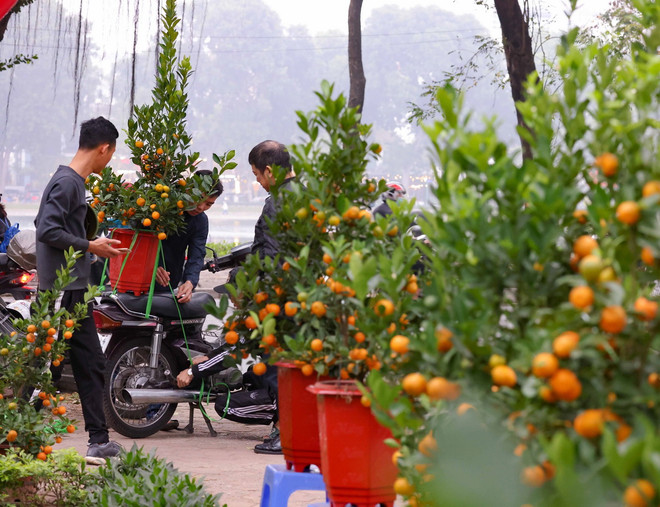 ttxvn_nghi tet 2.jpg