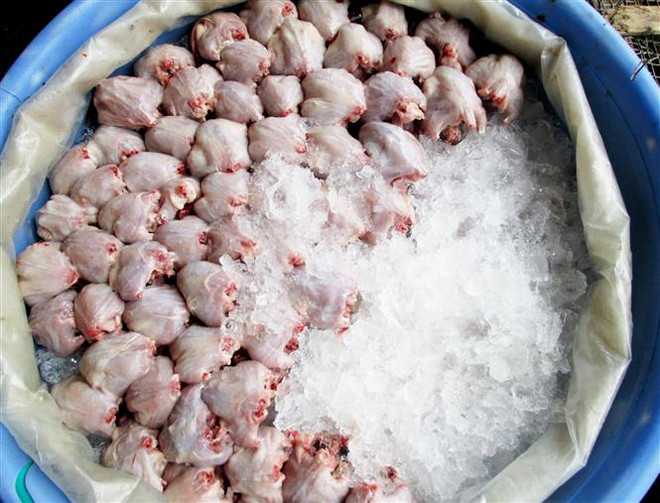 'Xông đất' chợ chuột đồng lớn nhất miền Tây đầu năm Canh Tý ảnh 1