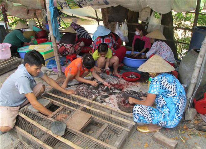 'Xông đất' chợ chuột đồng lớn nhất miền Tây đầu năm Canh Tý ảnh 2