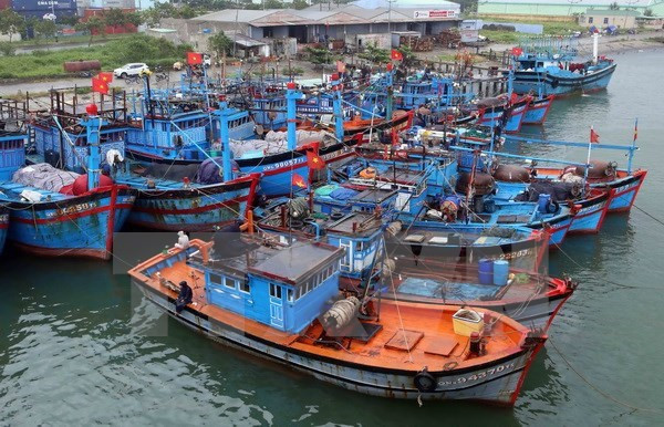 Các địa phương Quảng Ninh đến Quảng Ngãi chủ động ứng phó bão Megi ảnh 1