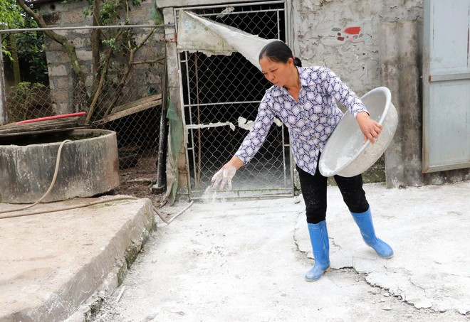 Dịch tả lợn châu Phi lan nhanh, Nam Định siết chặt khâu vận chuyển ảnh 1