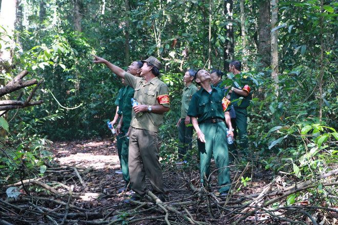 Sức sống mãnh liệt của khu rừng chiến khu D lịch sử ở Bình Phước ảnh 3