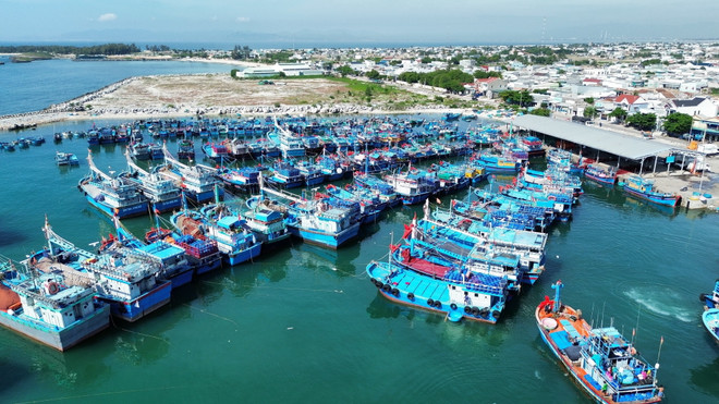 Đội tàu cá khai thác xa bờ cập cảng cá Mỹ Tân ở xã Thanh Hải, huyện Ninh Hải, tỉnh Ninh Thuận. (Ảnh: Nguyễn Thành/TTXVN) ttxvn_ninh thuan IUU 1.jpg