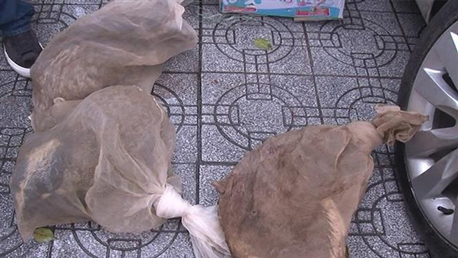 Phát hiện xe khách vận chuyển cầy hương không rõ nguồn gốc ảnh 1