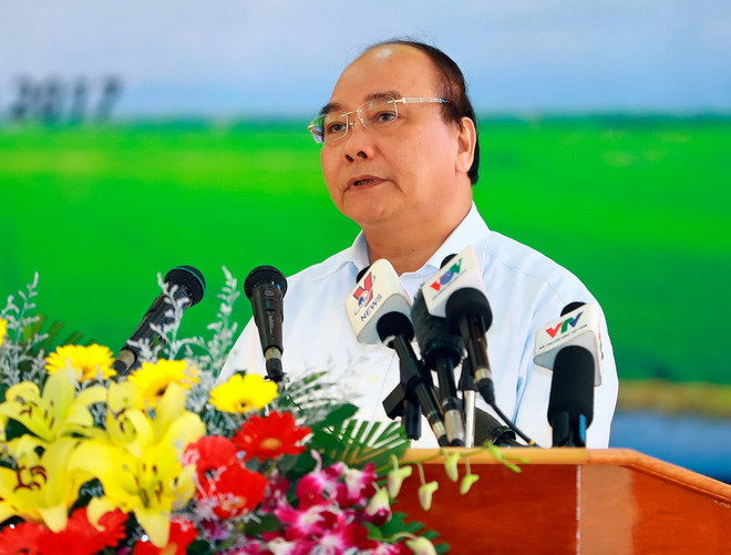 Thủ tướng: Không có chủ trương sử dụng đất trồng lúa làm sân golf ảnh 1