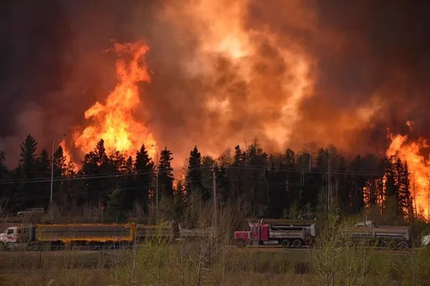 Các đám cháy rừng lan rộng tại tỉnh bang Alberta của Canada. (Ảnh: Reuters) Canada mong mưa để giúp "hạ nhiệt" nỗ lực kiểm soát cháy rừng ảnh 1
